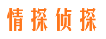 浦城市婚外情调查